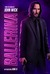 From the World of John Wick: Ballerina Poster