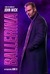 From the World of John Wick: Ballerina Poster