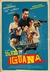 Blue Iguana Poster