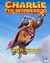 Charlie the Wonderdog Poster