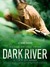 Dark River Poster