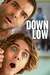 Down Low Poster