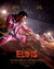 Elvis Poster