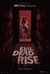 Evil Dead Rise Poster