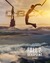 Fall 2: Deadpoint Poster
