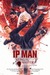 Ip Man: Kung Fu Master Poster