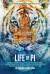 Life of Pi Poster