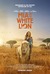 Mia and the White Lion Poster