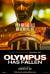 Olympus Has Fallen Poster