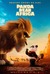 Panda Bear in Africa Poster
