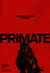 Primate Poster