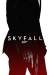 Skyfall Poster