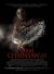 Texas Chainsaw Poster