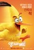 The Angry Birds Movie Poster