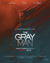 The Gray Man Poster