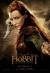 The Hobbit: The Desolation of Smaug Poster