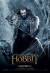 The Hobbit: The Desolation of Smaug Poster