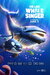 The Last Whale Singer Poster