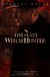 The Last Witch Hunter Poster