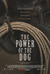 The Power of the Dog Poster