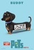 The Secret Life of Pets Poster