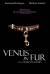 Venus in Fur Poster