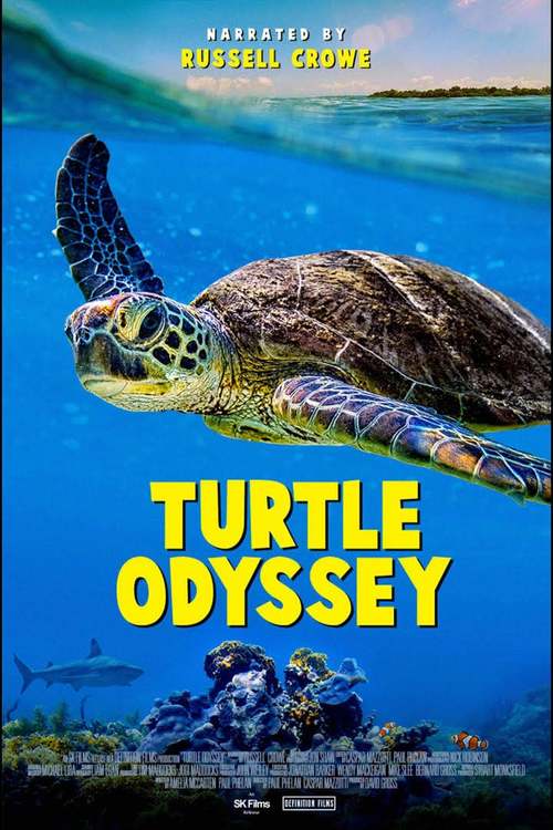 Turtle Odyssey poster