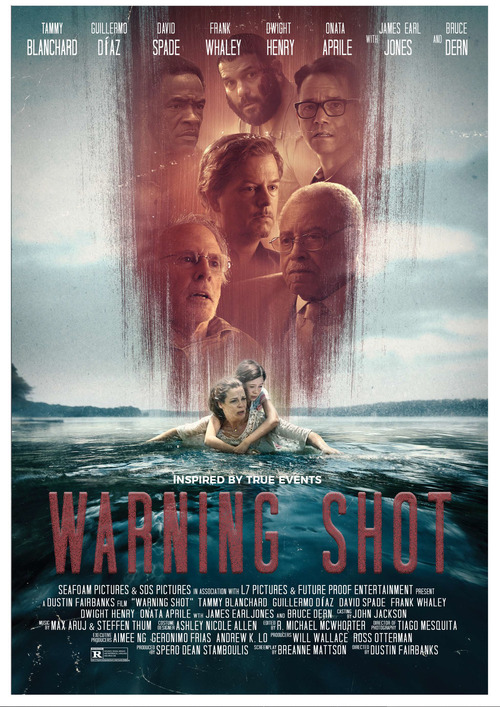 Warning Shot poster