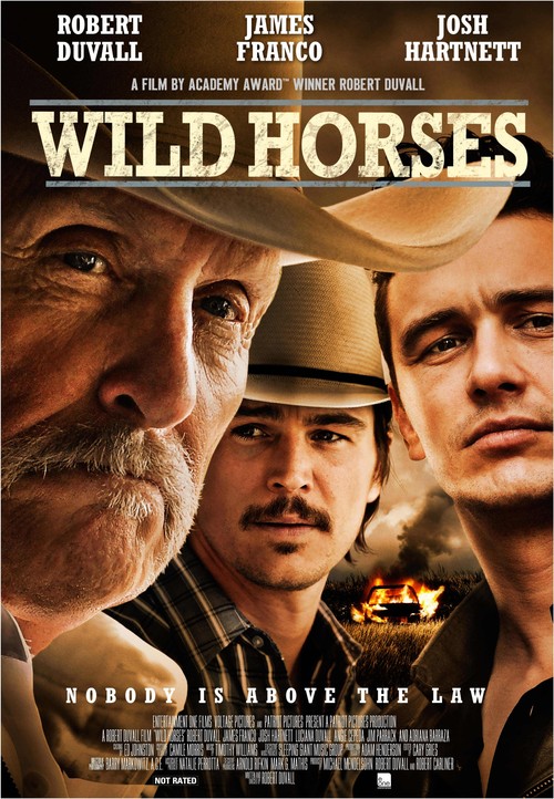 Wild Horses poster