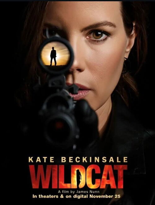 Wildcat poster