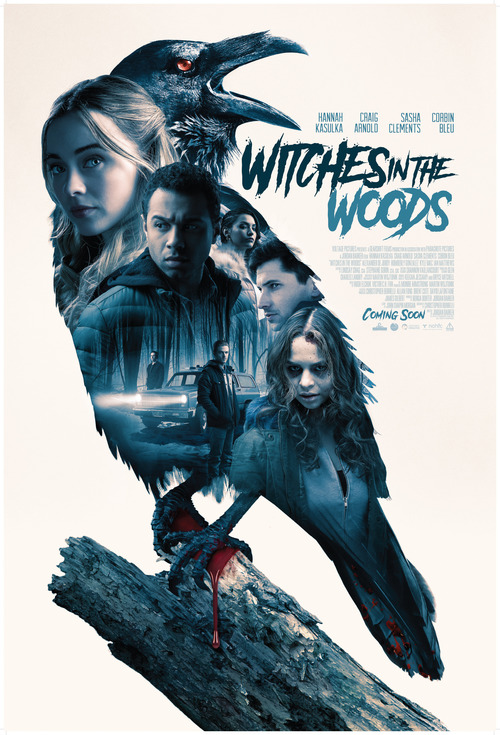 Witches in the Woods poster