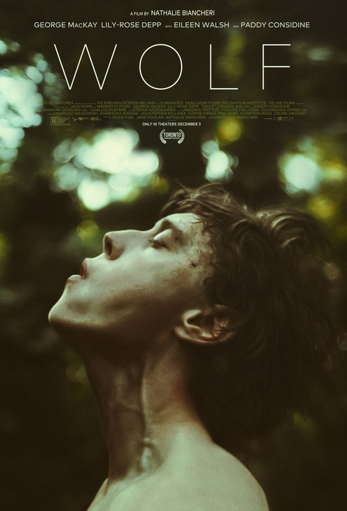 Wolf poster